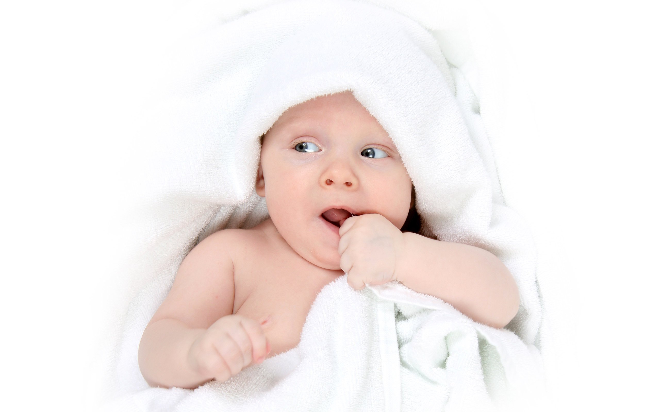 莆田捐卵子电话第二次试管婴儿成功率